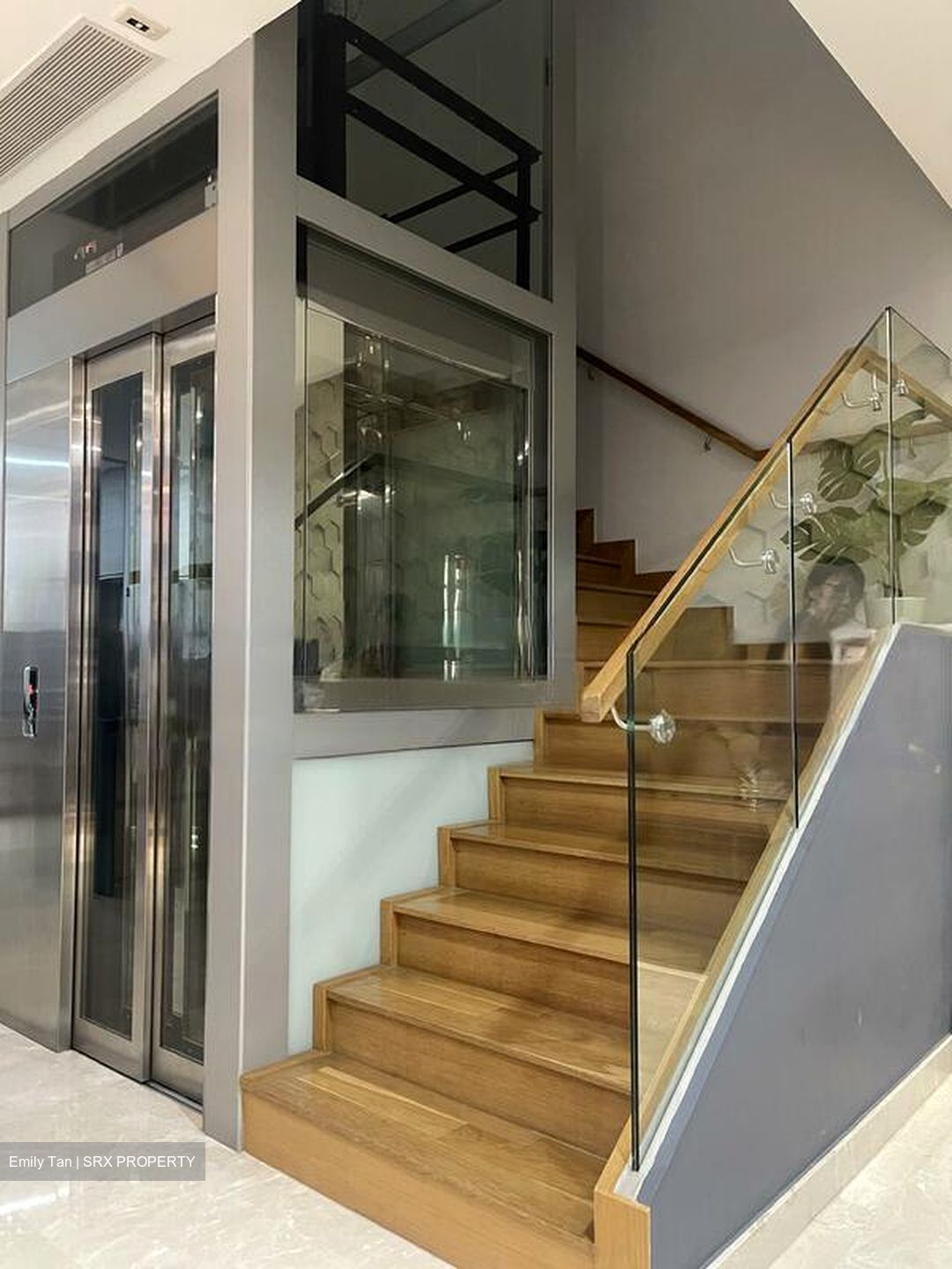 Nim Collection (D28), Terrace #459715741